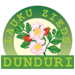 cropped-dunduri_logo.png
